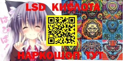 спиды Заводоуковск