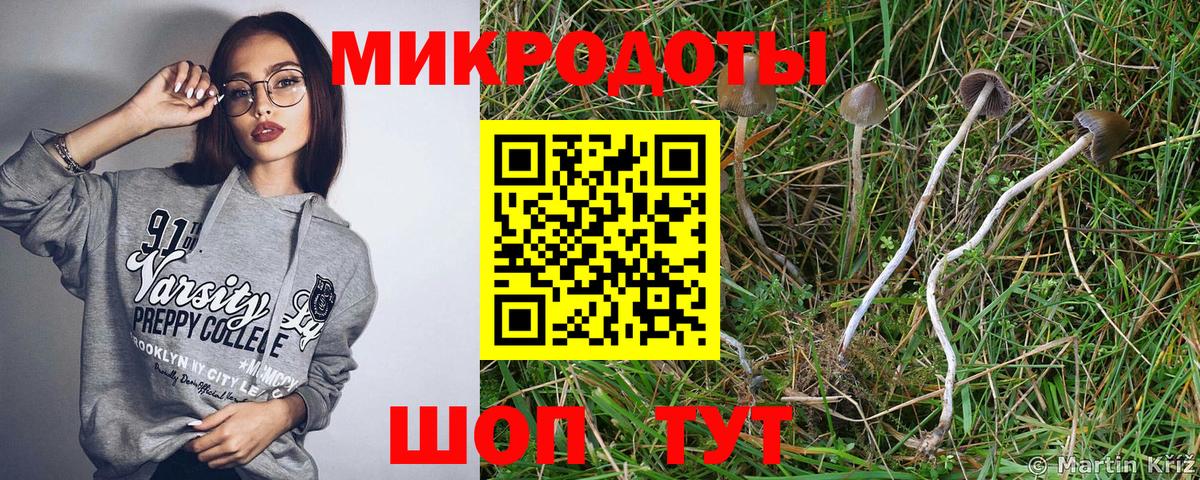 Псилоцибиновые грибы Magic Shrooms  Вход с VPN  Михайловка 
